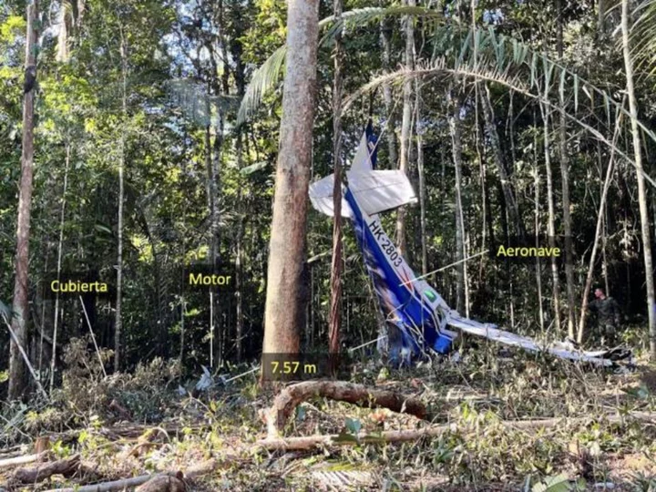 How could four children survive a plane crash in the Amazon? A new report offers clues