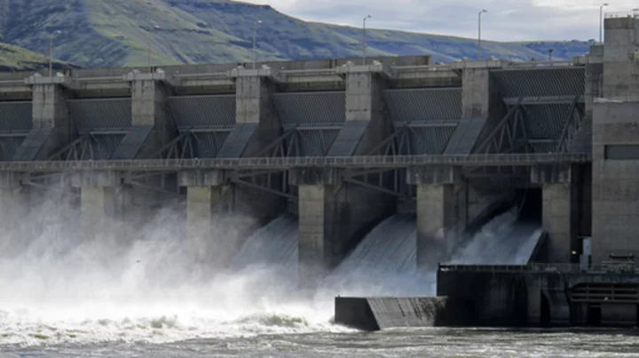 Leaked document says US is willing to build replacement energy projects in case dams are breached